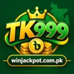 TK999 APK Download BDT App